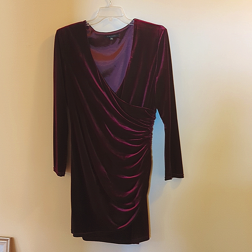 Alex Marie Size 16. Gorgeous Cranberry Velvet Knee Length Dress.